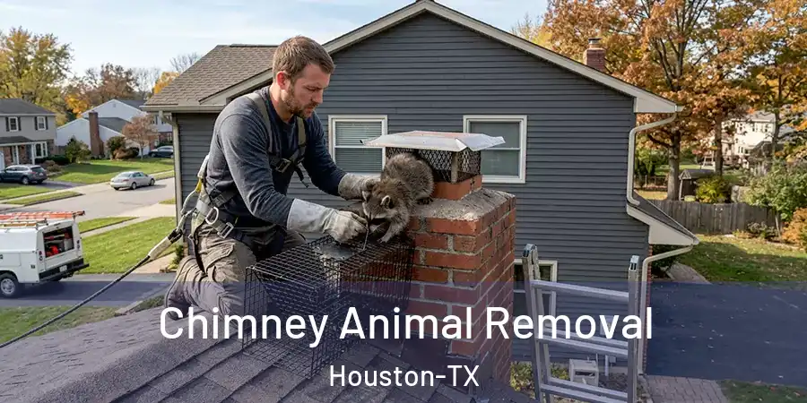 Chimney Animal Removal Houston-TX